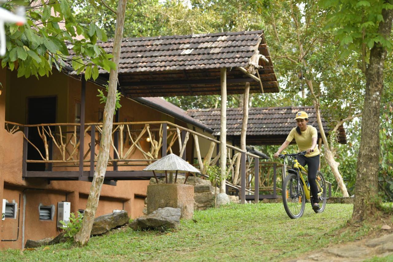 Beyond Eco Living Apartman Munnar Kültér fotó