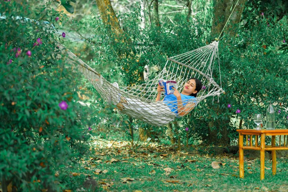 Beyond Eco Living Apartman Munnar Kültér fotó